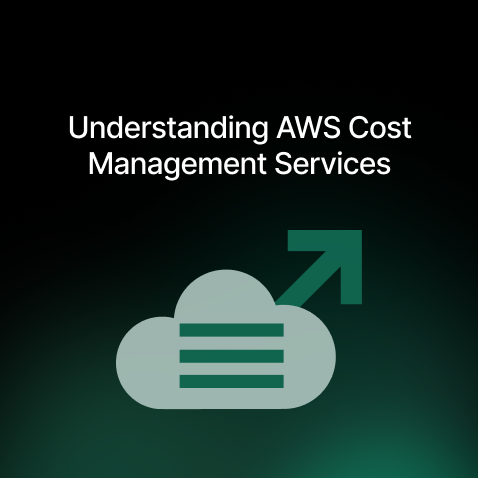 AWS Cost Management Services